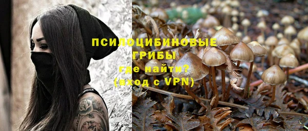 не бодяженный Абаза