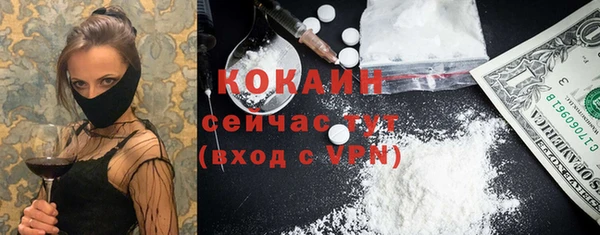 амф Мегион