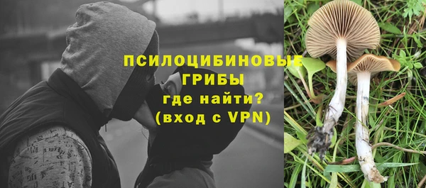 не бодяженный Абаза
